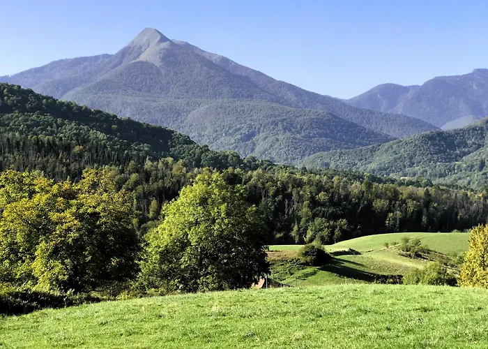 Daire Ancienne Etable *